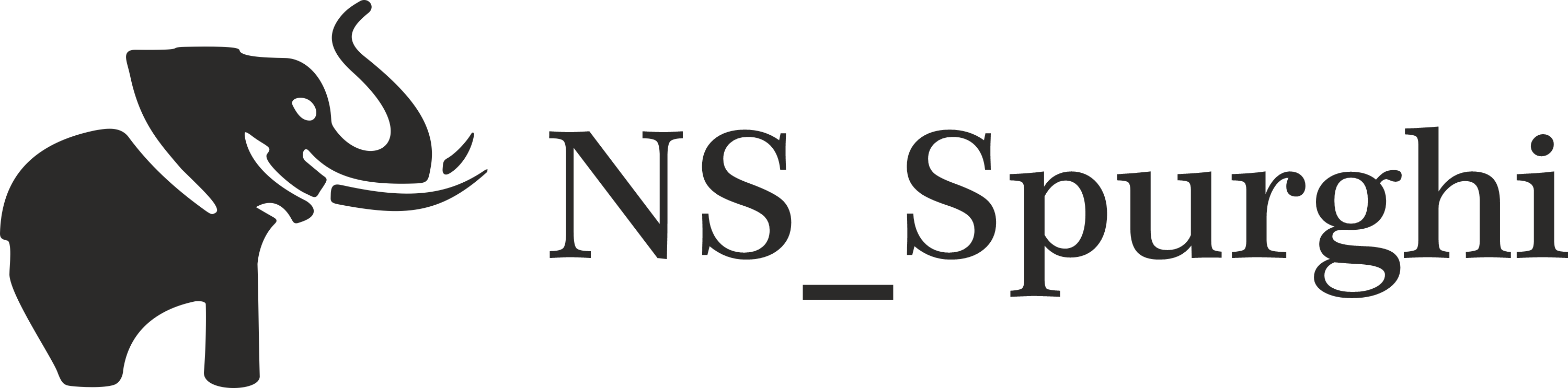 NS_Spurghi logo